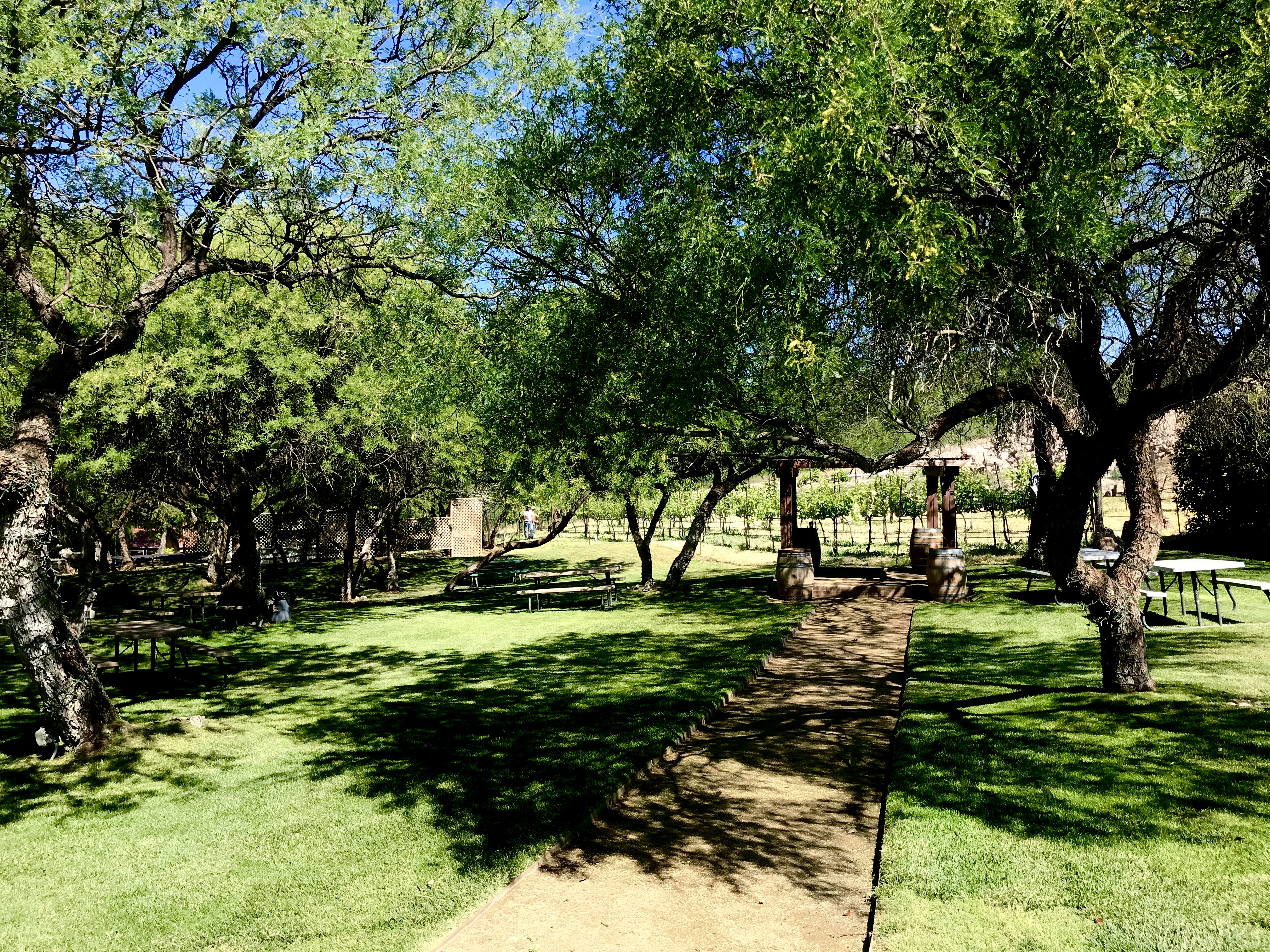 park at Javelina Leap