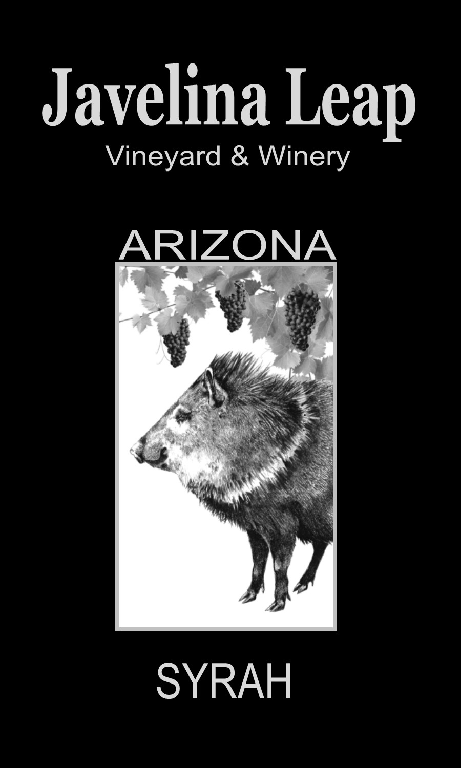 Product Image for 2019 Syrah